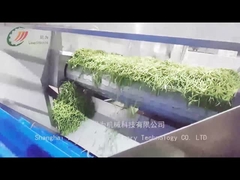 Làm thế nào để dây chuyền sản xuất đậu đóng hộp sản xuất đậu đóng hộp?