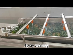 Đường dây sản xuất tự động Cây dưa chuột đóng hộp