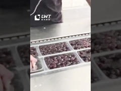 Dữ liệu đóng gói dây chuyền sản xuất tự động Dữ liệu kéo dài phim máy đóng gói chân không