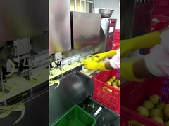 Dòng sản xuất trái cây đóng hộp Leadworld Dòng chế biến lê đóng hộp