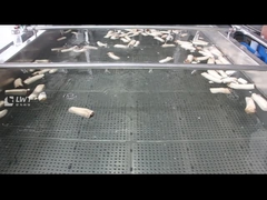 Máy làm sạch bọt khí nấm