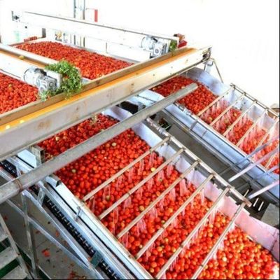 Dòng sản xuất đóng hộp đa chức năng cho cà chua đóng hộp từ Leadworld Industrial