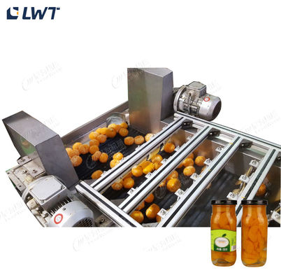 Dòng sản xuất trái cây đóng hộp Leadworld Dòng chế biến cam đóng hộp
