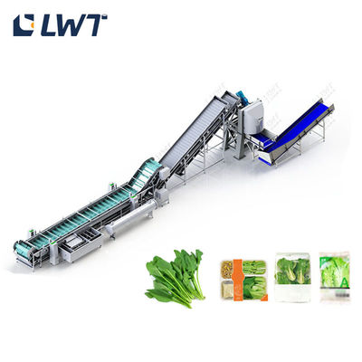 Đường đông lạnh nhanh rau quả và rau quả Thiết bị chế biến đông lạnh nhanh